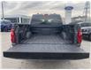 2026 Ford F-150 STX (Stk: 2603380) in Ottawa - Image 6 of 28