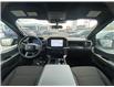 2026 Ford F-150 STX (Stk: 2603380) in Ottawa - Image 19 of 28