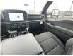2026 Ford F-150 XLT (Stk: 2603040) in Ottawa - Image 13 of 25