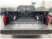 2026 Ford F-150 XLT (Stk: 2603130) in Ottawa - Image 6 of 25 2026 Ford F-150 XLT (Stk: 2603130) in Ottawa - Image 6 of 25