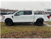 2026 Ford F-150 XLT (Stk: 2602740) in Ottawa - Image 3 of 24