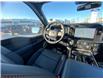 2026 Ford F-150 Raptor (Stk: 2603020) in Ottawa - Image 16 of 26