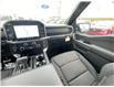 2026 Ford F-150 XLT (Stk: 2602930) in Ottawa - Image 13 of 24