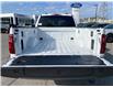 2026 Ford F-150 XLT (Stk: 2603420) in Ottawa - Image 6 of 24