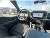 2026 Ford F-150 XLT (Stk: 2603420) in Ottawa - Image 15 of 24
