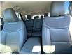 2026 Ford Explorer Active (Stk: 2603150) in Ottawa - Image 11 of 25 2026 Ford Explorer Active (Stk: 2603150) in Ottawa - Image 11 of 25