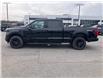 2026 Ford F-150 XLT (Stk: 2600940) in Ottawa - Image 3 of 21 2026 Ford F-150 XLT (Stk: 2600940) in Ottawa - Image 3 of 21