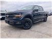 2026 Ford F-150 XLT (Stk: 2601750) in Ottawa - Image 1 of 21