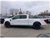 2026 Ford F-150 XLT (Stk: 2600930) in Ottawa - Image 3 of 22 2026 Ford F-150 XLT (Stk: 2600930) in Ottawa - Image 3 of 22