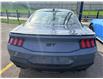 2026 Ford Mustang  (Stk: 2601770) in Ottawa - Image 6 of 20