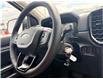 2026 Ford Ranger XLT (Stk: 2604070) in Ottawa - Image 21 of 31