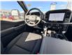2026 Ford F-150 XLT (Stk: 2603700) in Ottawa - Image 12 of 28