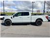 2026 Ford F-150 XLT (Stk: 2603690) in Ottawa - Image 3 of 27 2026 Ford F-150 XLT (Stk: 2603690) in Ottawa - Image 3 of 27