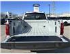 2026 Ford F-150 XLT (Stk: 2603690) in Ottawa - Image 6 of 27 2026 Ford F-150 XLT (Stk: 2603690) in Ottawa - Image 6 of 27
