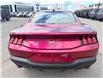2026 Ford Mustang  (Stk: 2602810) in Ottawa - Image 6 of 25
