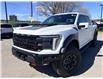 2025 Ford F-150 Raptor (Stk: 2603261) in Ottawa - Image 1 of 34