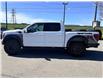 2025 Ford F-150 Raptor (Stk: 2603261) in Ottawa - Image 3 of 34