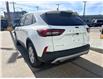 2024 Ford Escape Active (Stk: 980240) in Ottawa - Image 4 of 27