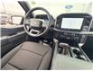 2026 Ford F-150 XLT (Stk: 2603680) in Ottawa - Image 13 of 28