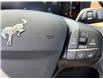 2026 Ford Bronco Sport Big Bend (Stk: 2603720) in Ottawa - Image 23 of 30