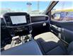 2026 Ford F-150 XLT (Stk: 2603770) in Ottawa - Image 14 of 30
