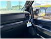 2026 Ford F-150 Tremor (Stk: 2604400) in Ottawa - Image 18 of 30