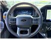 2026 Ford F-150 Tremor (Stk: 2604400) in Ottawa - Image 22 of 30
