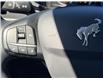 2024 Ford Bronco Sport Big Bend (Stk: 2402180) in Ottawa - Image 21 of 25