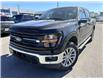 2026 Ford F-150 XLT (Stk: 2603090) in Ottawa - Image 1 of 28