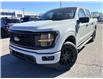 2026 Ford F-150 STX (Stk: 2603560) in Ottawa - Image 1 of 25