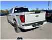 2026 Ford F-150 STX (Stk: 2603560) in Ottawa - Image 4 of 25