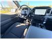2026 Ford F-150 STX (Stk: 2603560) in Ottawa - Image 13 of 25