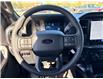 2026 Ford F-150 STX (Stk: 2603560) in Ottawa - Image 18 of 25