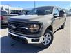 2026 Ford F-150 XLT (Stk: 2603780) in Ottawa - Image 1 of 28