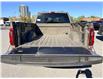 2026 Ford F-150 XLT (Stk: 2603780) in Ottawa - Image 6 of 28