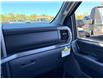 2026 Ford F-150 XLT (Stk: 2603780) in Ottawa - Image 17 of 28