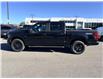 2026 Ford F-150 STX (Stk: 2603570) in Ottawa - Image 3 of 29