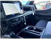 2026 Ford F-150 STX (Stk: 2603570) in Ottawa - Image 15 of 29