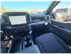 2026 Ford F-150 STX (Stk: 2603570) in Ottawa - Image 12 of 29
