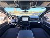 2026 Ford F-150 STX (Stk: 2603570) in Ottawa - Image 14 of 29