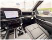 2026 Ford F-150 STX (Stk: 2601490) in Ottawa - Image 12 of 27