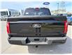 2026 Ford F-150 XLT (Stk: 2604260) in Ottawa - Image 6 of 29