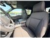 2026 Ford F-150 XLT (Stk: 2604260) in Ottawa - Image 11 of 29