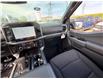 2026 Ford F-150 XLT (Stk: 2604260) in Ottawa - Image 14 of 29