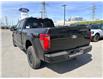 2026 Ford F-150 XLT (Stk: 2604250) in Ottawa - Image 5 of 29