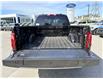 2026 Ford F-150 XLT (Stk: 2604250) in Ottawa - Image 7 of 29