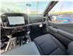2026 Ford F-150 XLT (Stk: 2604250) in Ottawa - Image 13 of 29