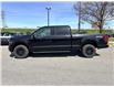 2026 Ford F-150 XLT (Stk: 2604170) in Ottawa - Image 4 of 28 2026 Ford F-150 XLT (Stk: 2604170) in Ottawa - Image 4 of 28