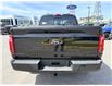 2026 Ford F-150 XLT (Stk: 2604130) in Ottawa - Image 6 of 30