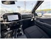 2026 Ford F-150 XLT (Stk: 2604130) in Ottawa - Image 12 of 30
